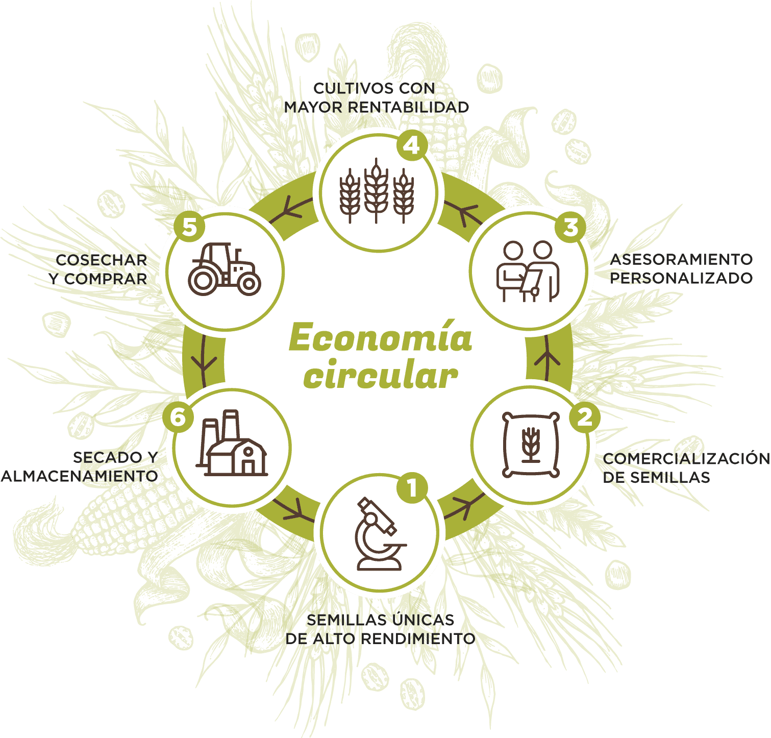 Infografía económica circular