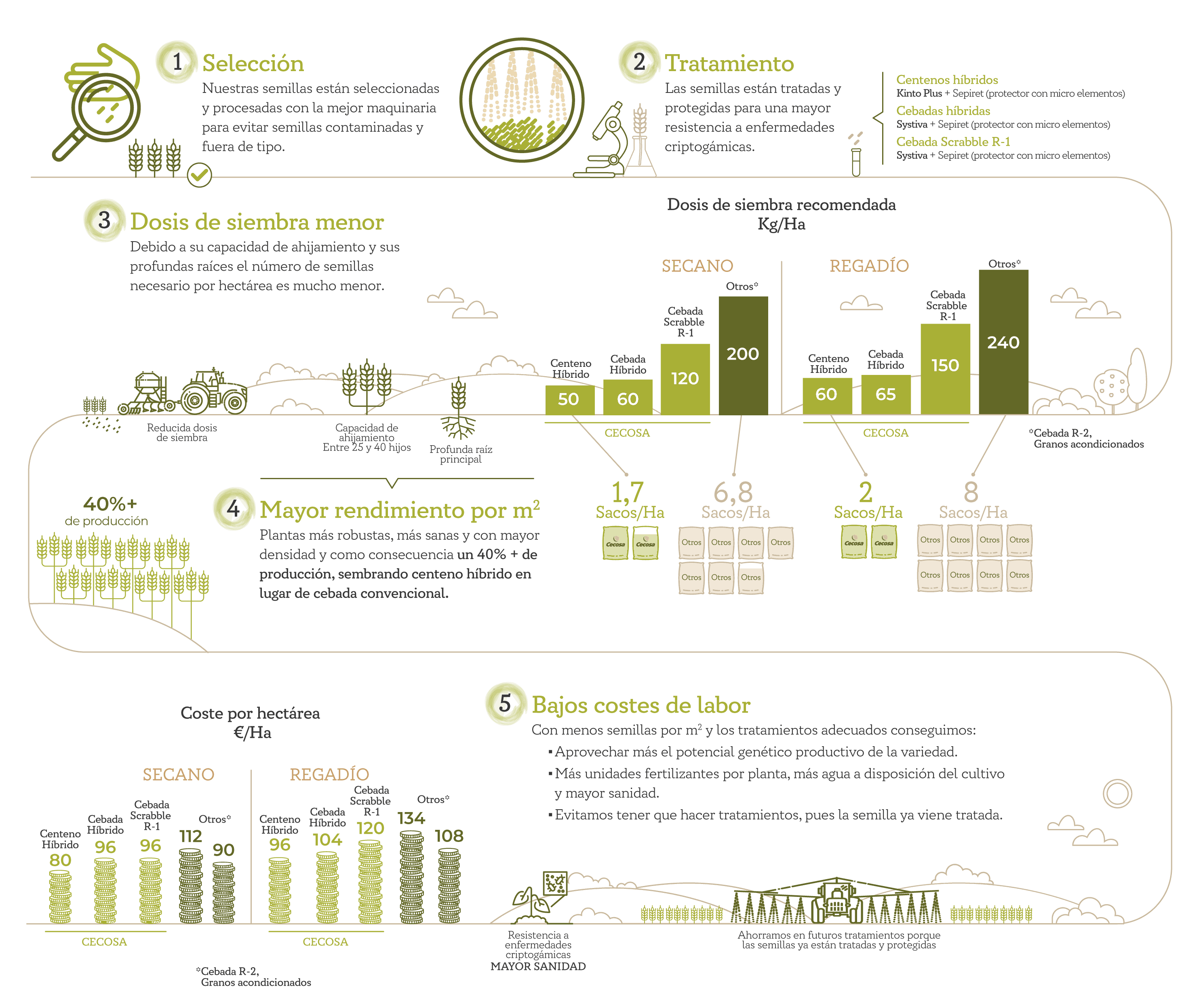 Infografía dosis siembra web escritorio