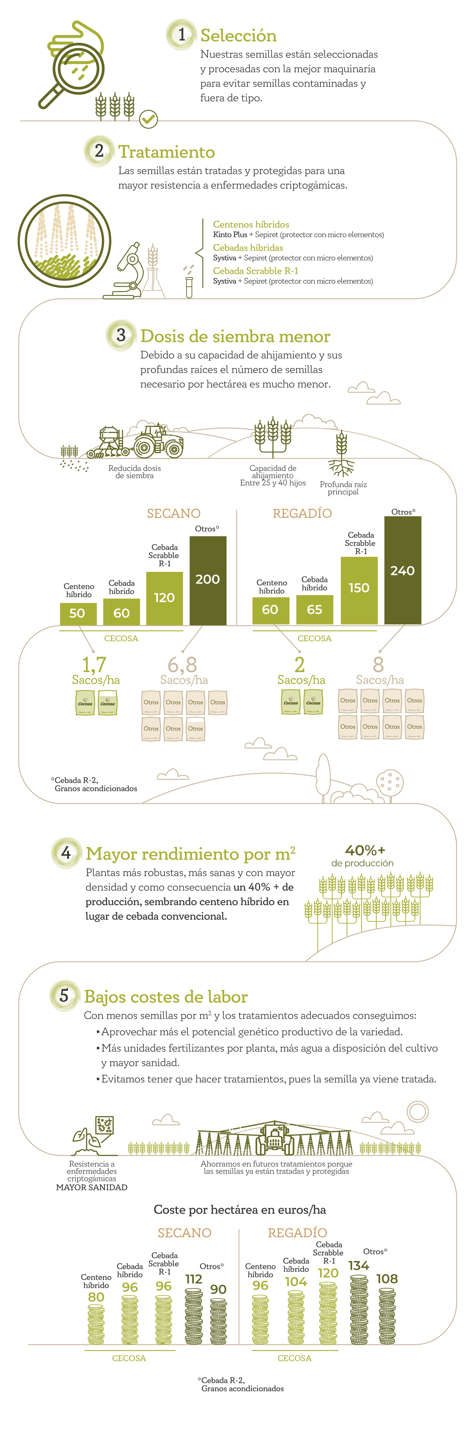 Infografía dosis siembra web movil